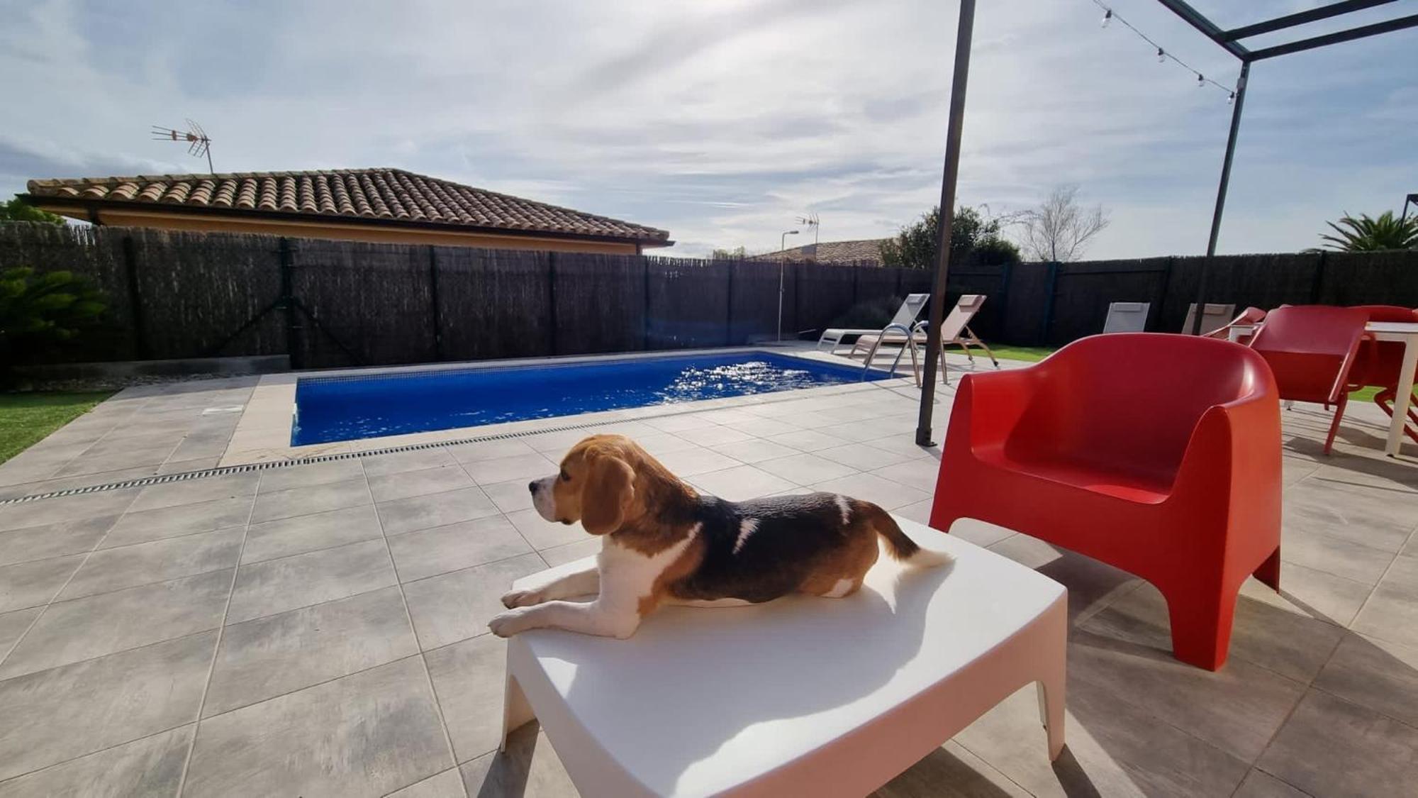 Villas Medes Mar - Plus Costa Brava 레스타르티트 외부 사진
